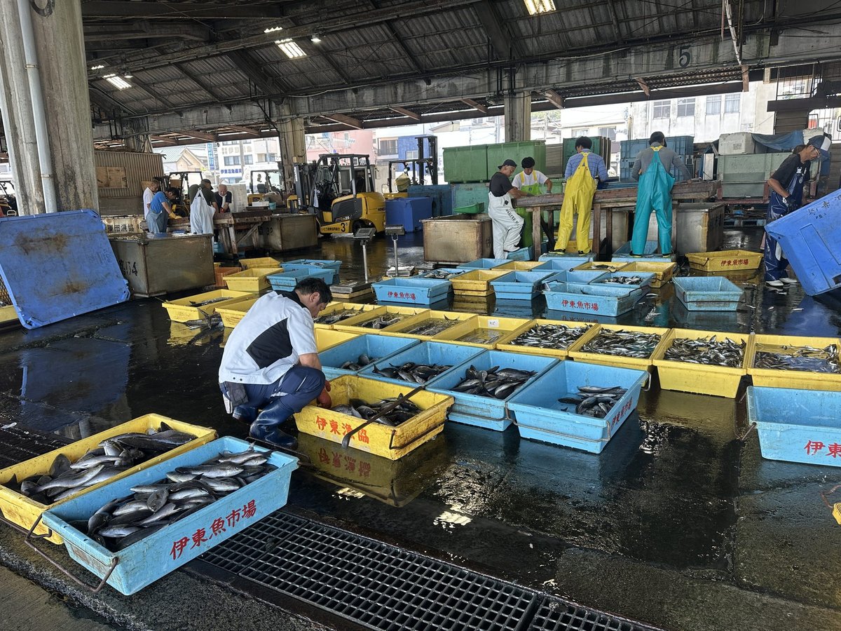 伊東の魚市場